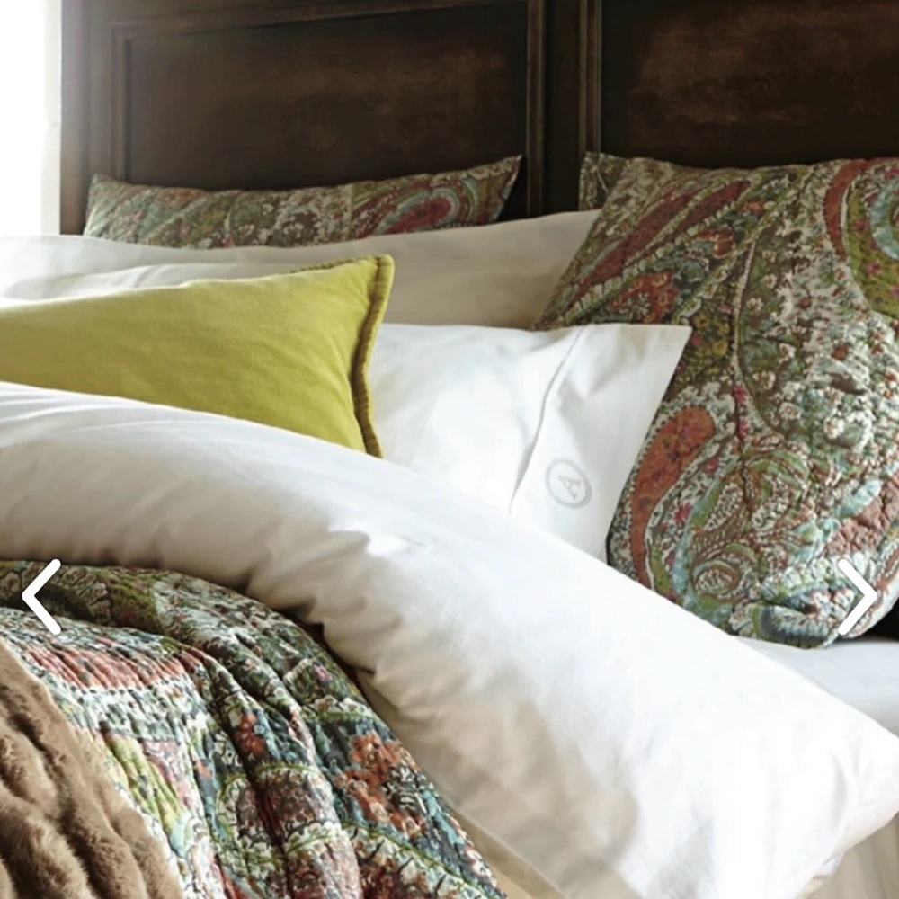 New RaRE Pottery Barn Washed Velvet Pillow Cover, 20”, Absynth Green